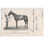 Rococò (1897) - Cavallo Femmina Baia